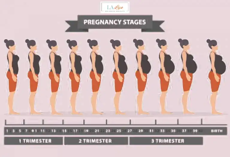 First Trimester (Weeks 1–12): Early Changes You Might Not Notice Grimsby